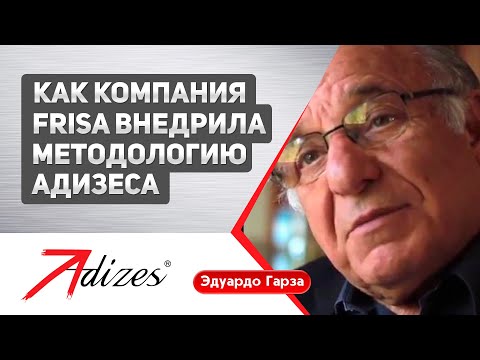 Как компания FRISA