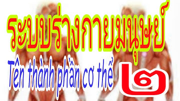 ĐÀM THOẠI TIẾNG THÁI LAN (từ vựng nói về thân thể)