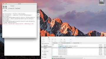 Axoloti: recovering objects