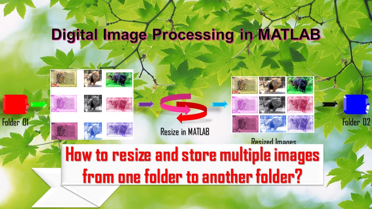 How to resize and store multiple images from one folder to another ...