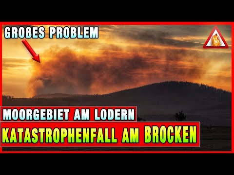 ++EILMELDUNG++ Waldbrand am