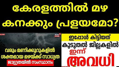 കേരളത്തിൽ വരും ദിവസങ്ങളിൽ അതിതീവ്ര മഴ💧| 🔴നാളെ മഴ അവധി ഉണ്ടോ?🤔! Tomorrow Kerala Rain News #kerala