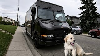 UPS Deliveries POV Sunny day Deliveries