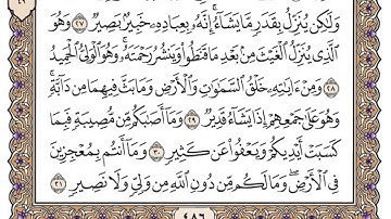 سورة الشورى / محمد صديق المنشاوي
