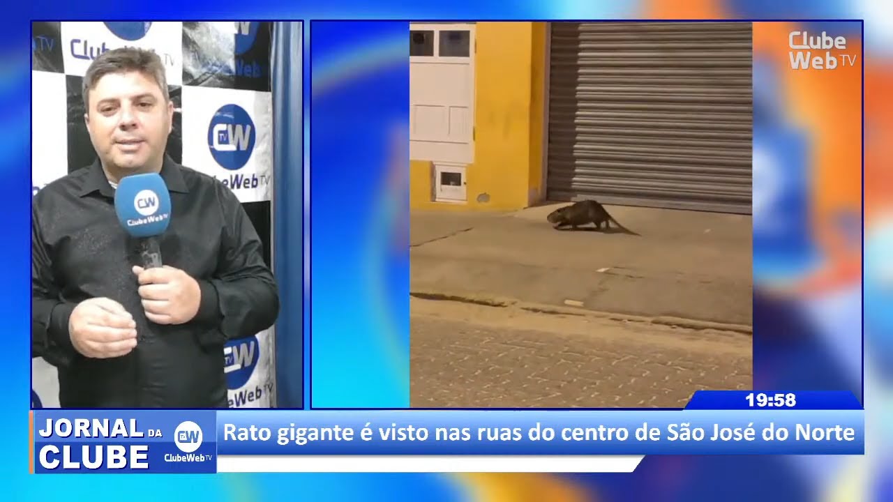 Rato gigante é visto nas ruas do centro de São José do Norte 