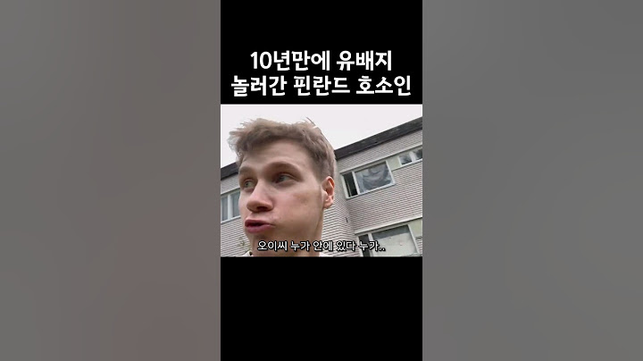 핀란드 유배 당했다가 돌아온 이유 #레오티비 #여행