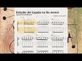 Miniature de la vidéo de la chanson Estudio Del Ligado En Re Menor