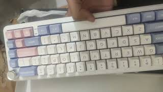 Weikav WK68 (Moon White switch/ SA profile Keycaps)