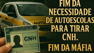 THE BEGINNING OF THE END? THE DRIVING SCHOOL MAFIA'S DAYS ARE NUMBERED. screenshot 3