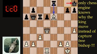 Stockfish vs Lc0 Best Match | Collection 259