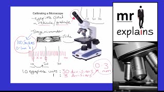 Information mr i explains: How to Calibrate an Optical Microscope Guide