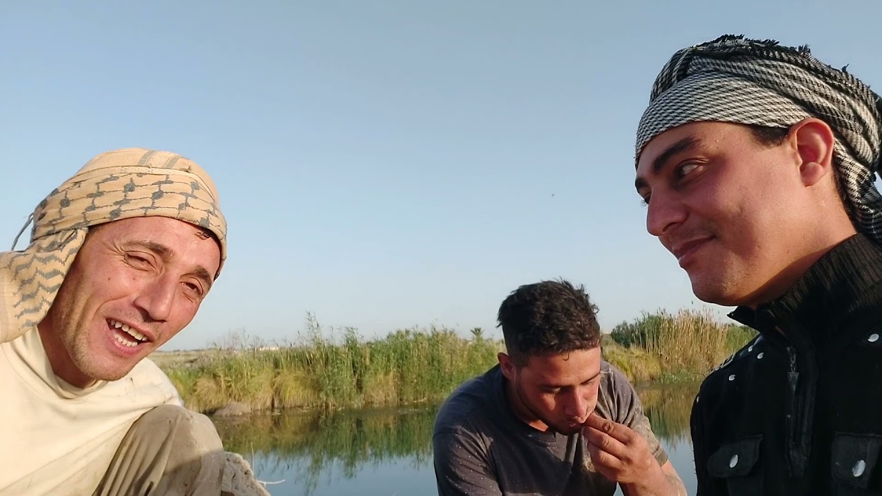 صيد السمك السمتي او الكاريبي في نهر الرميثه