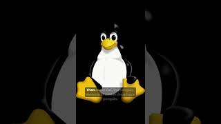 Legends Of Tech: Linus Torvalds