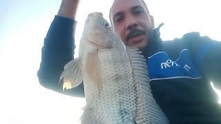 صيد السمك بشاير سنة2021 ربنا يجعلها سنة خير على الجميع fishing hook
