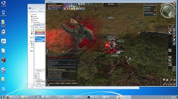 Showing how to use Adrenaline for Lineage 2 - 15 / 15