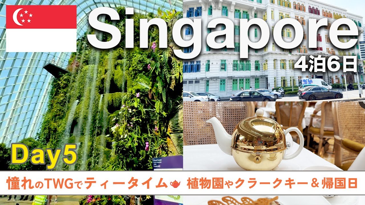 【シンガポール旅行Vlog】最終日✨TWGでティータイム＆マリーナベイサンズ周辺散策｜植物園・クラウドフォレストで自然満喫｜5日目の過ごし方＆帰国日ルーティン
