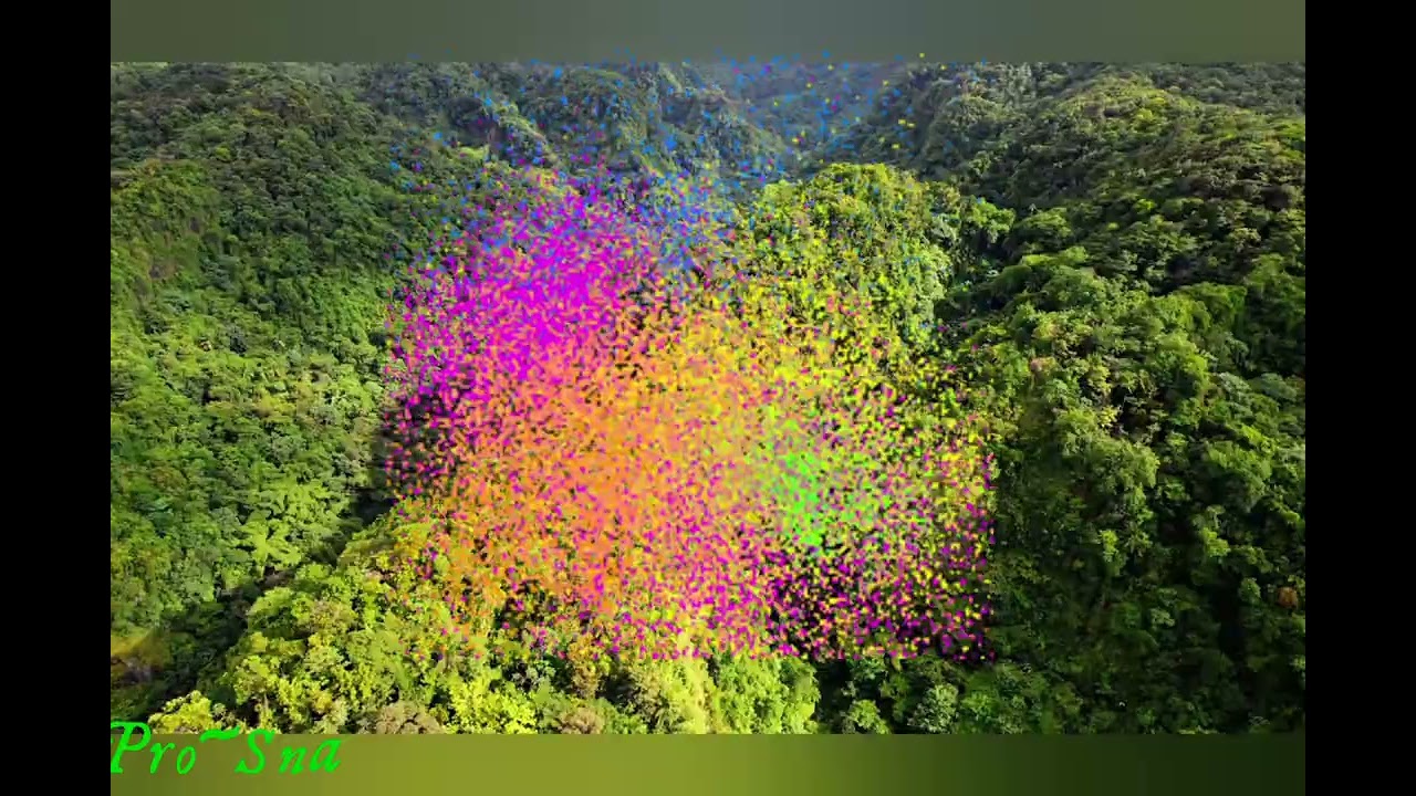 Anse La Raye || River - The Mountains 