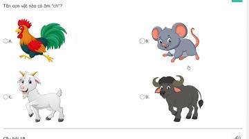 Đáp án Trạng nguyên Tiếng Việt lớp 1 Vòng 6 năm 2025 - 2026