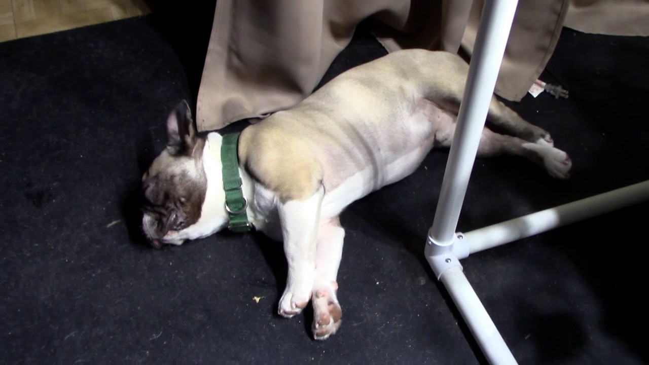 Weekly Hydroponic Garden Walkthough;No-Spill Revolution, It's Alive