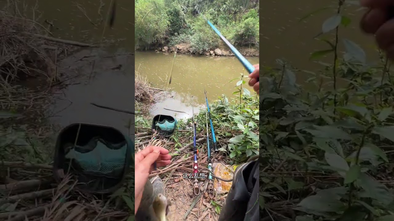 “Village Fishing Lifestyle Peaceful Nature and Fresh Fish Harvest” 🎣