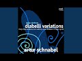 Miniature de la vidéo de la chanson Thirty-Three Variations On A Waltz By Anton Diabelli In C Major, Op. 120: Variation 2: Poco Allegro