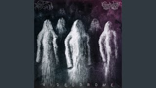 Dimension 3