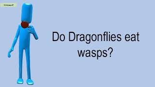 Do Dragonflies Eat Wasps