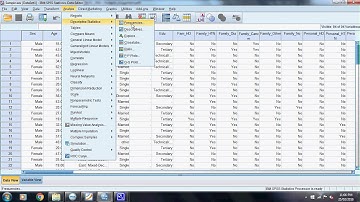 HUEC 2002- Research Assignment SPSS Part 1