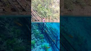 LAGOA MISTERIOSA, MS 🇧🇷