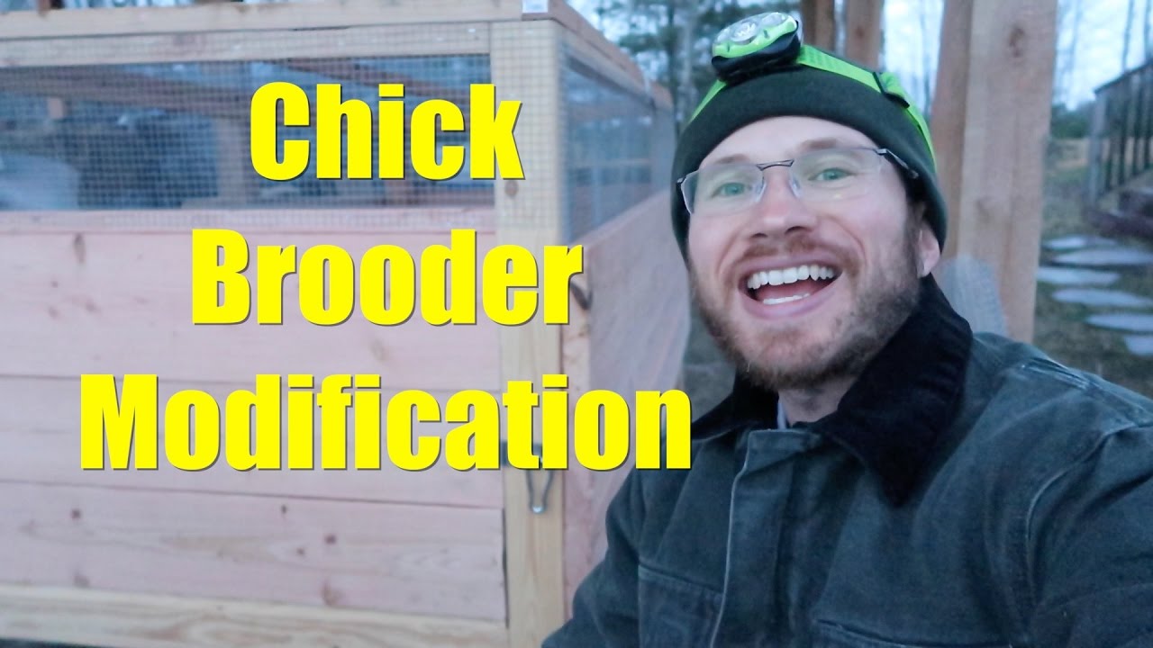 how to build a chicken brooder Chick Brooder Modification