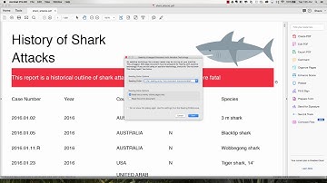Creating Your First Jasper Report: Shark Week Edition!