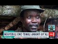 NBS Television - Amasengejje NBS Live | #nbsupdates #nextmedia #nbslive