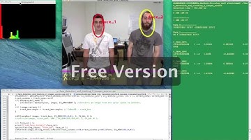 Face and head handling in occlusion situations