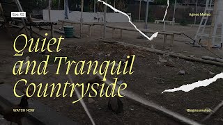 Download Lagu Kumpulan Lagu ST12 x Setia Band Terpopuler | Lagu Galau 2000an – Nonstop Tanpa Iklan MP3