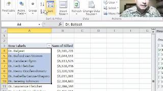 Excel Video 295 Grouping Text Part 1