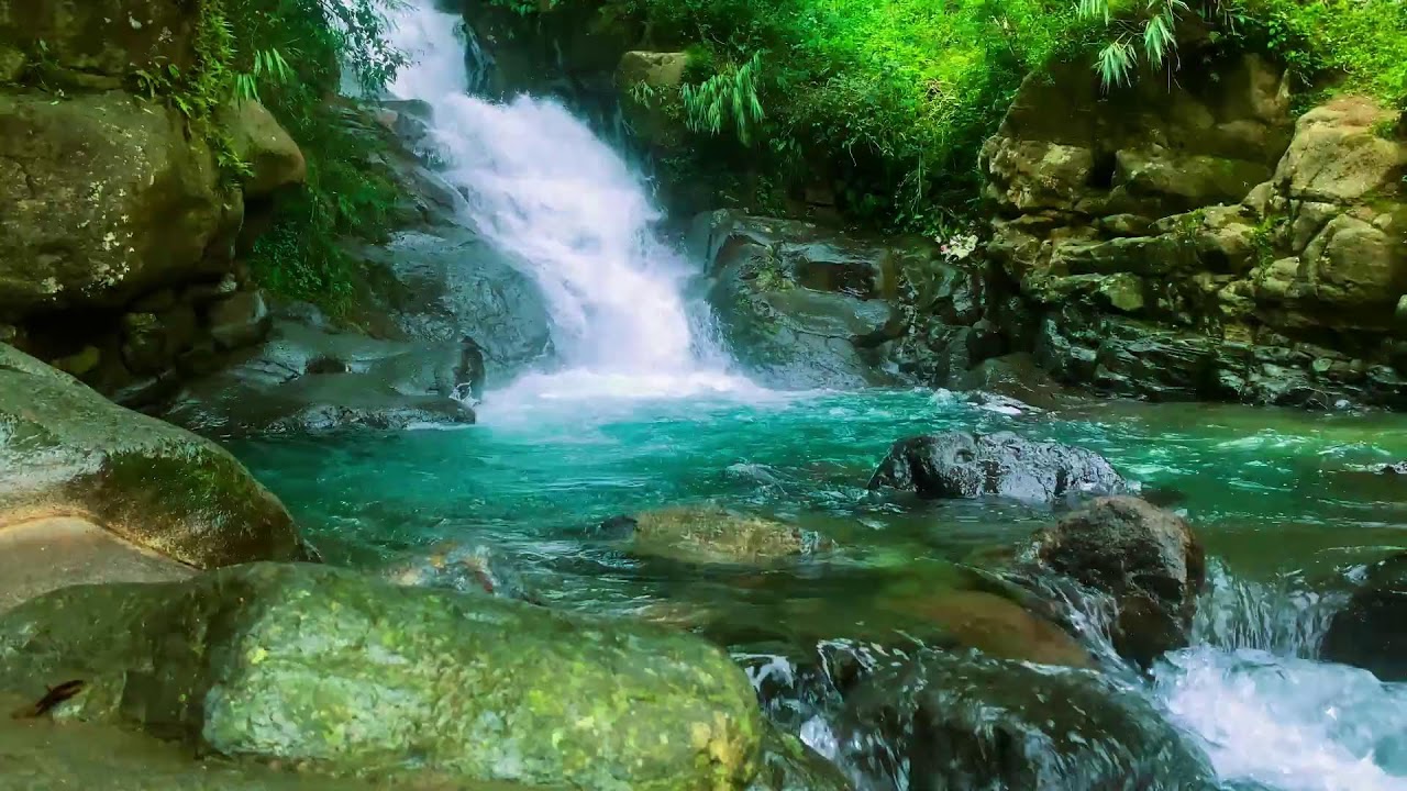МГНОВЕННАЯ РЕЛАКСАЦИЯ 🌿 Прохладный ручей в тропической тишине