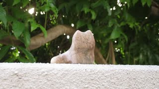 How i make my soapstone carvings / Carving a little stylised cat out of soapstone