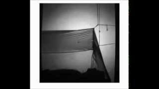 Infrared video tracking of Anopheles gambiae at insecticide-treated bed nets reveals rapid... screenshot 5