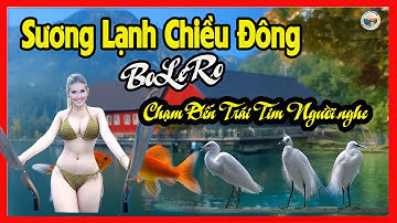 ➤"Sương Lạnh Chiều Đông - Ca Khúc Chạm Đến Trái Tim Người Nghe"#lờicatâmhồn