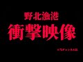 【釣り場ガイド・釣果予測】野北漁港・福岡県糸島市・海中映像 福岡最強の野北漁港、冬の様子を探索したよ！#252福岡釣部 in 福岡・糸島・北九州・長崎・平戸・佐賀・唐津・呼子・生月島・鷹島・広島・岡山