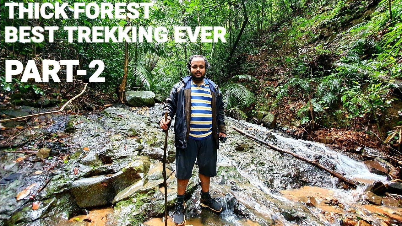 BEST TREKKING EXPERIENCE EVER TILL TODAY | YELLAPUR | WESTERN GHATS | ADVENTURE | DENSE FOREST TREK