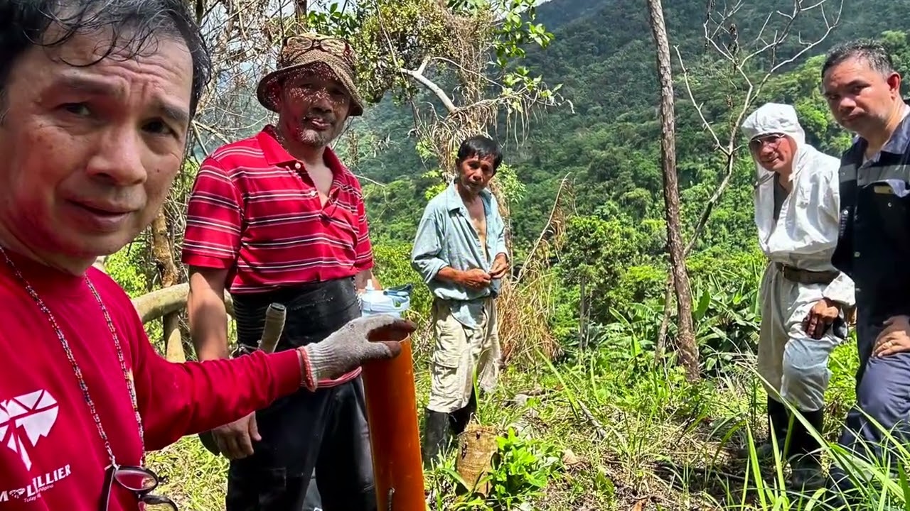 Revisiting the San Pascual Tree Farm