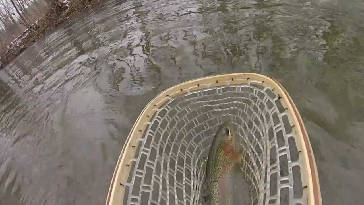 Under Water Trout Release