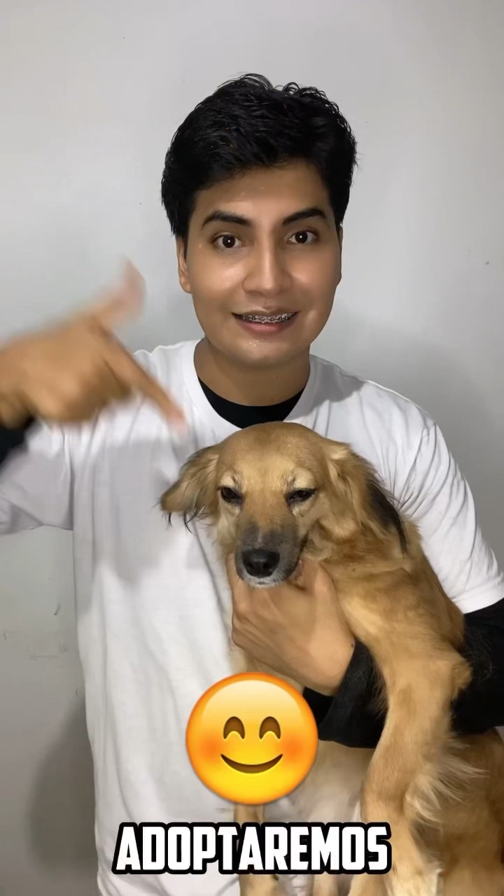LE DISPARARON A MI PERRITO ??