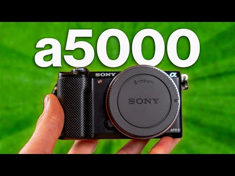 This Tiny $200 Camera Rocks! | Sony a5000 Review