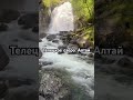 #телецкоеозеро #алтай #алтайскийкрай #республикаалтай #путешествуемпороссии #природа #travel#природа