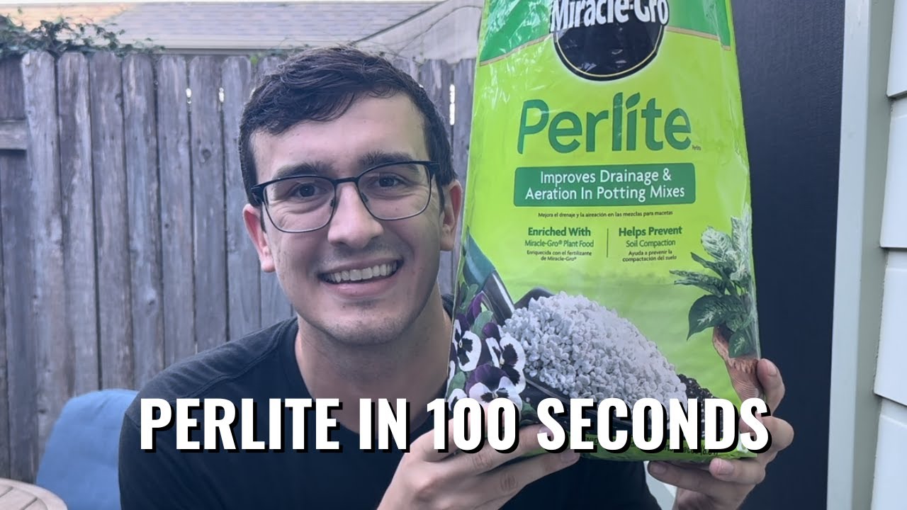 Perlite in 100 Seconds