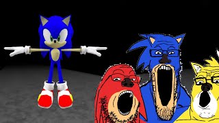 sonic le hedgehoug (sonic the disaster .exe gameplay with memes)