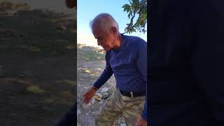 İBRAHİM DEMÌR TAVŞAN GÜVECİ NEFİS