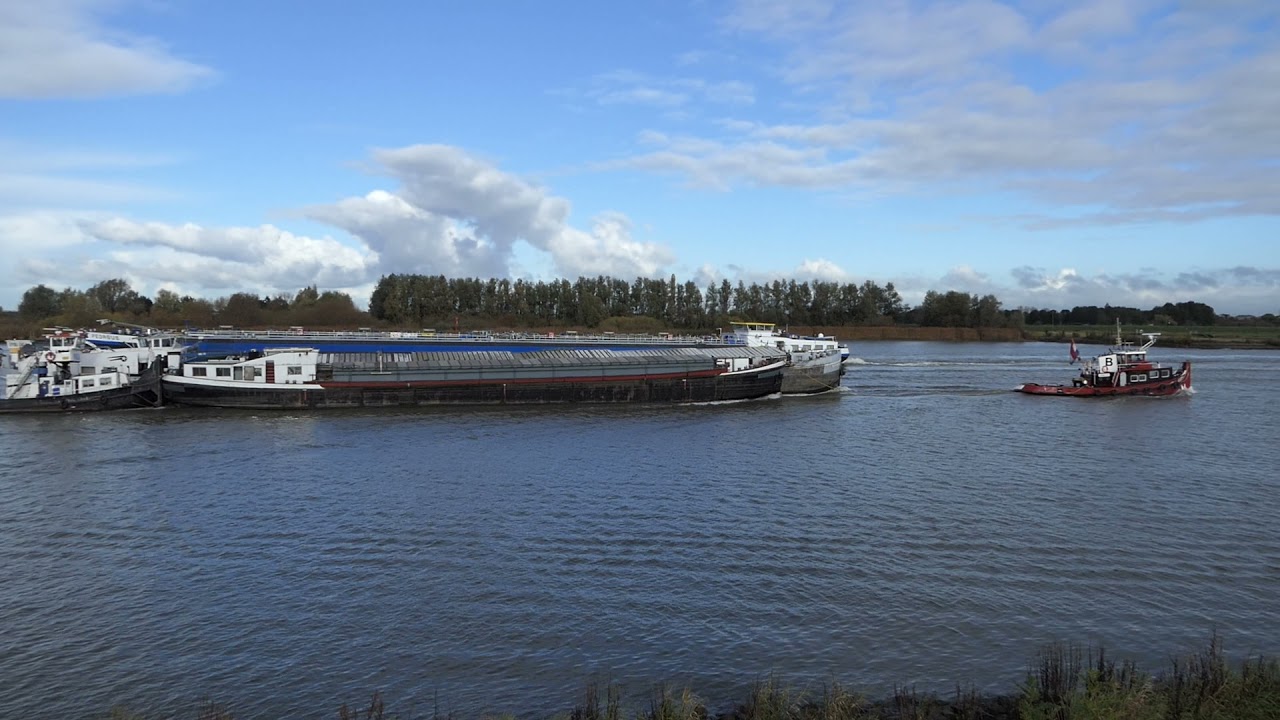 Shenadoa en Ohio onderweg naar sloperij Treffers in Haarlem